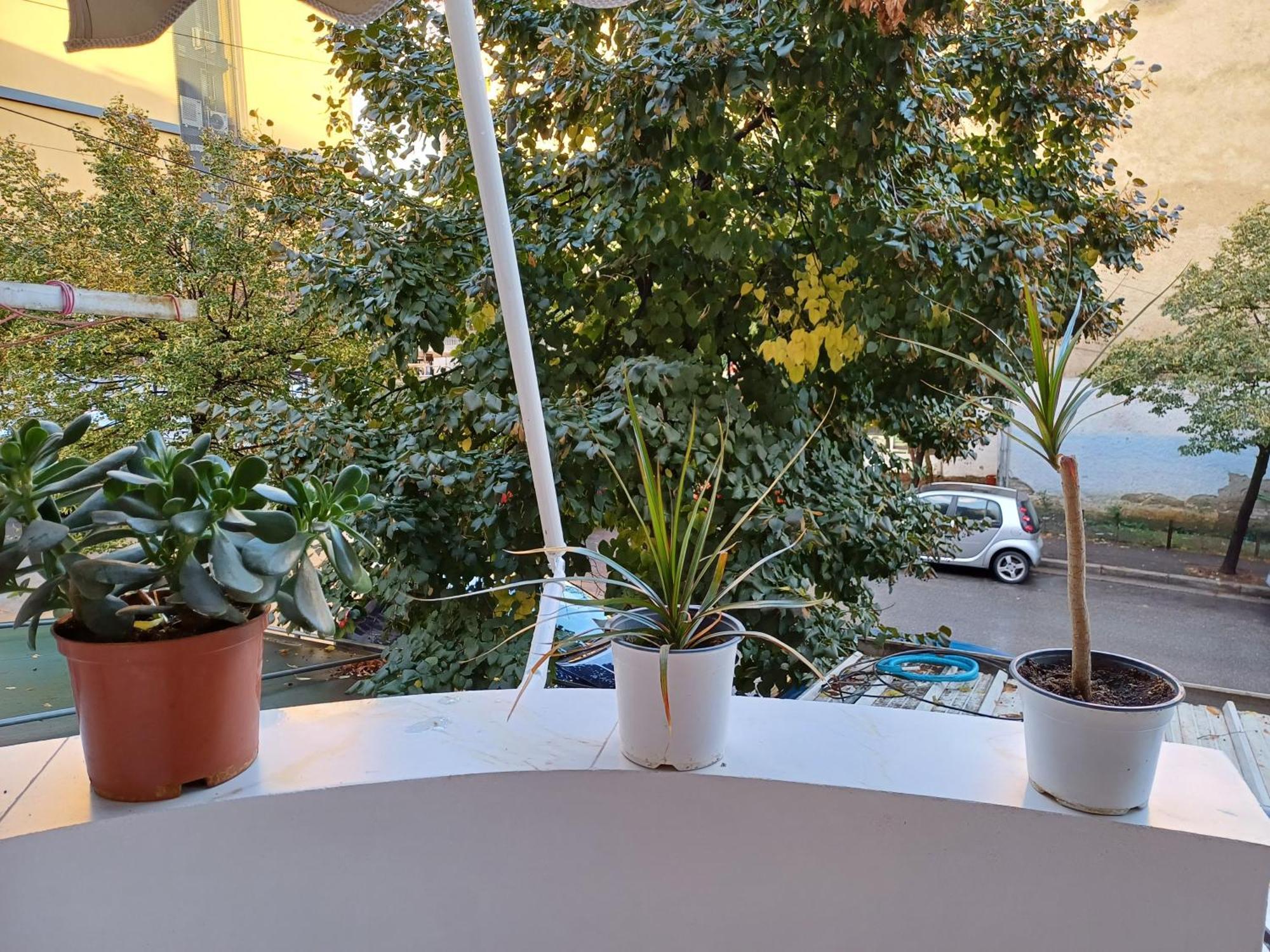 Regis Apartment Tiranë Eksteriør bilde